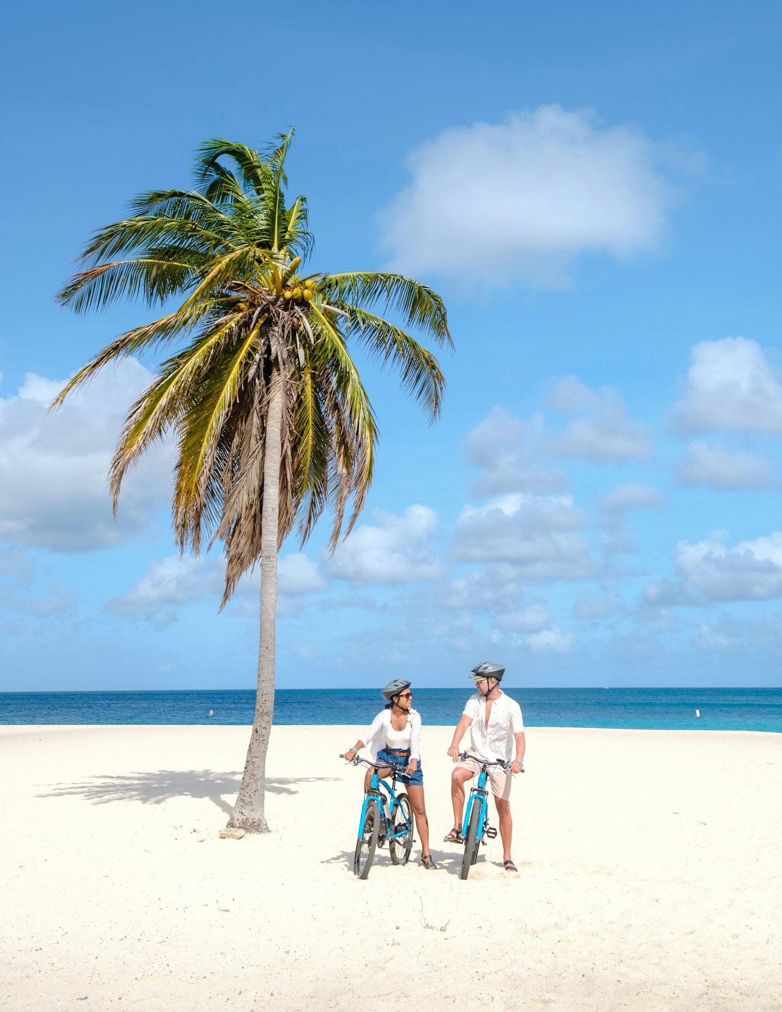 Eagle Beach Aruba, Palm Trees on the shoreline of Eagle Beach in Aruba,