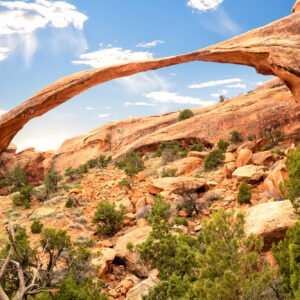 Arches National Park