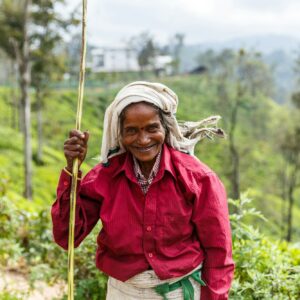 ELLA, SRI LANKA - JAN 17, 2017: selective focus of smiling senior asian woman on hill in Asia