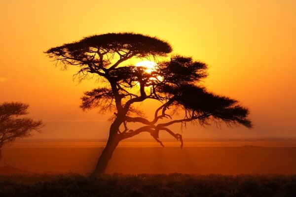 Etosha National Park - Namibia