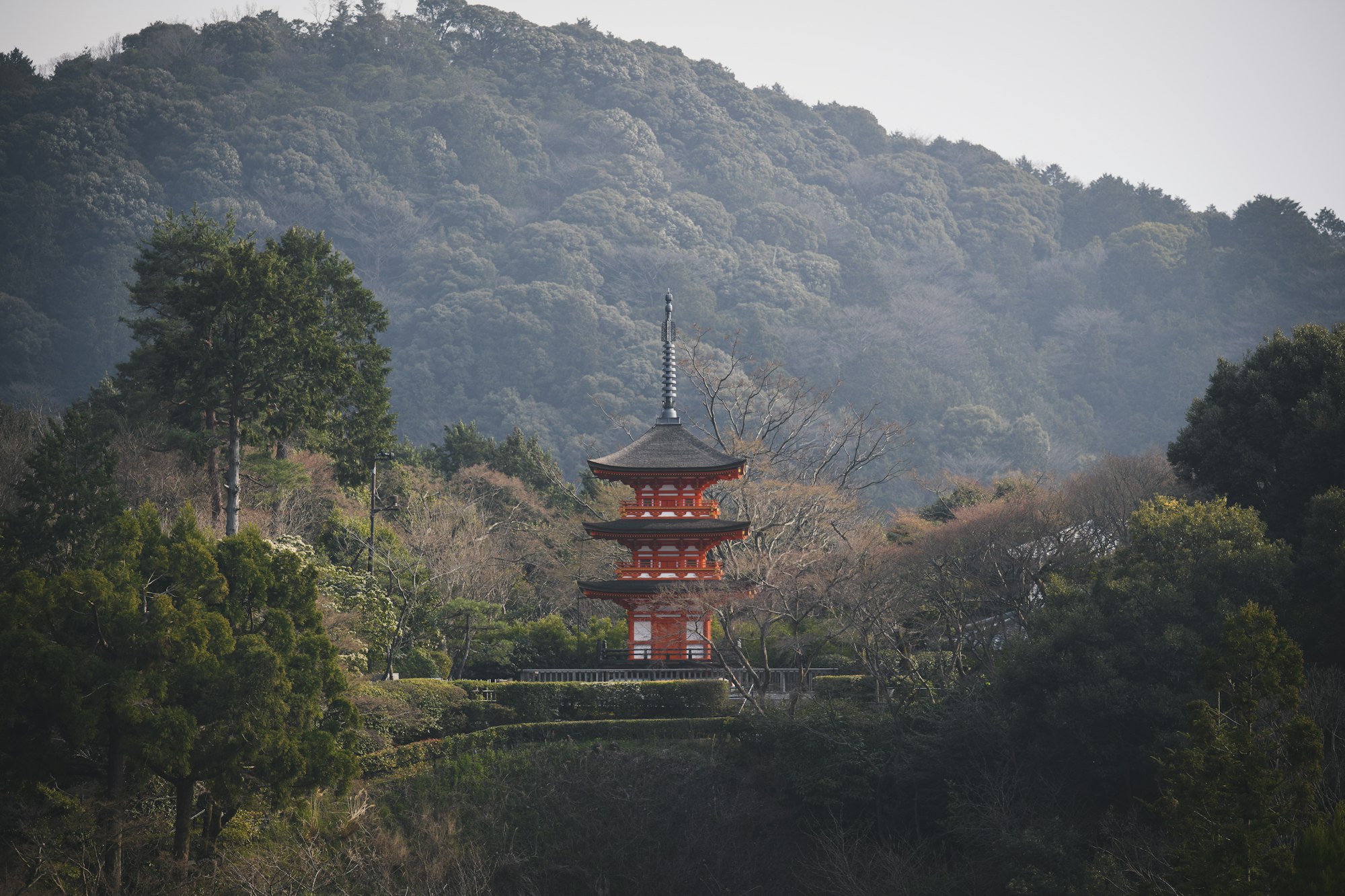 Japanese pagoda