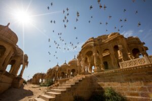 Pigeons flying above Bada Bagh, Jaisalmer, Rajasthan, India