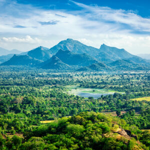 Sri Lankan landscape