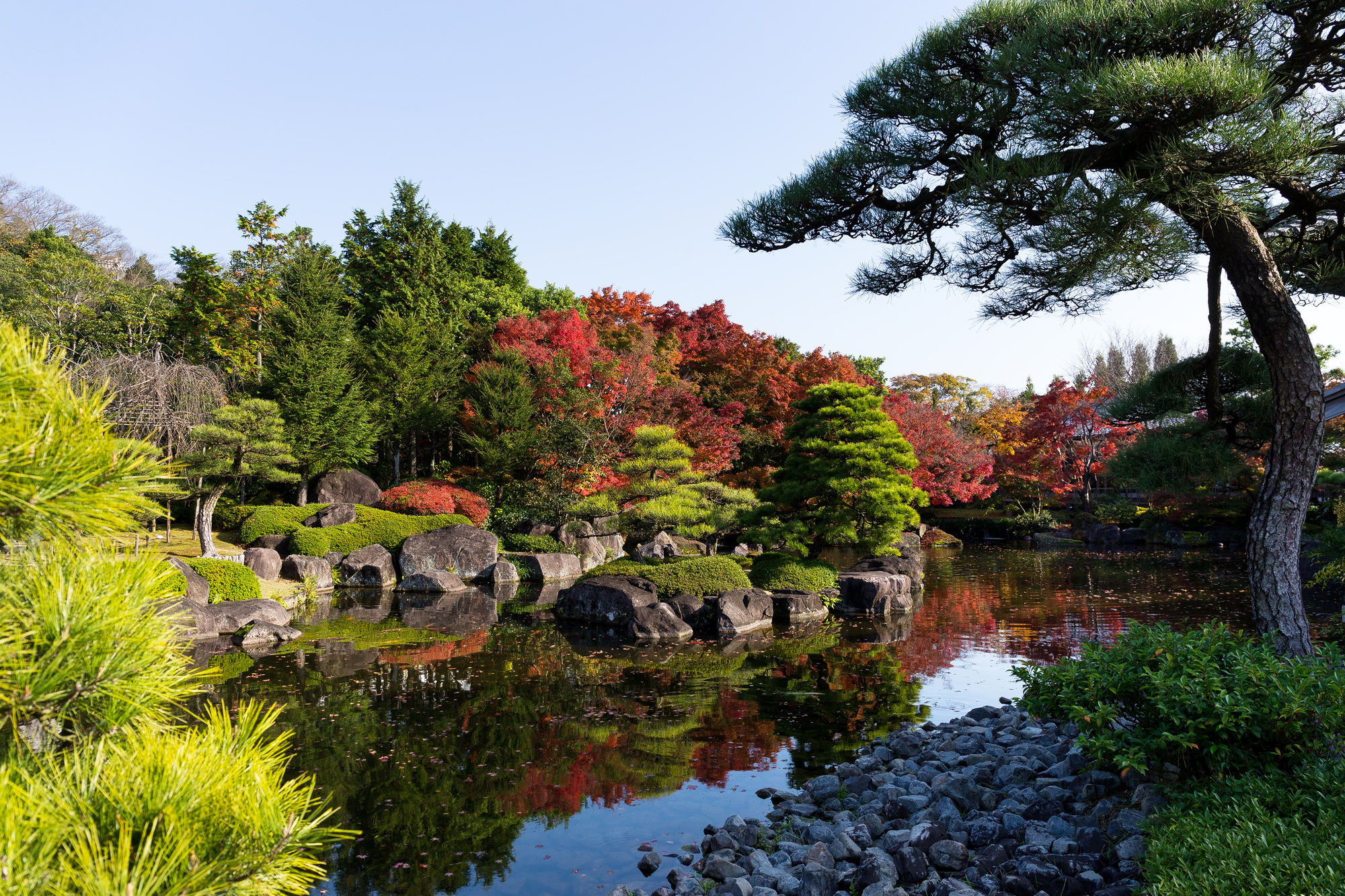 Japanese garden with autumn